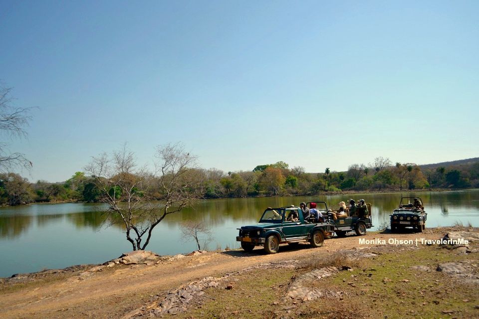 Photo of Looking for the ‘Bengal Tigers’ in Ranthambore National Park by TravelerInMe