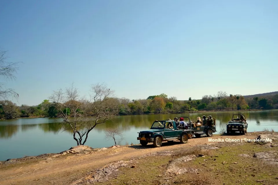Photo of Looking for the ‘Bengal Tigers’ in Ranthambore National Park by TravelerInMe