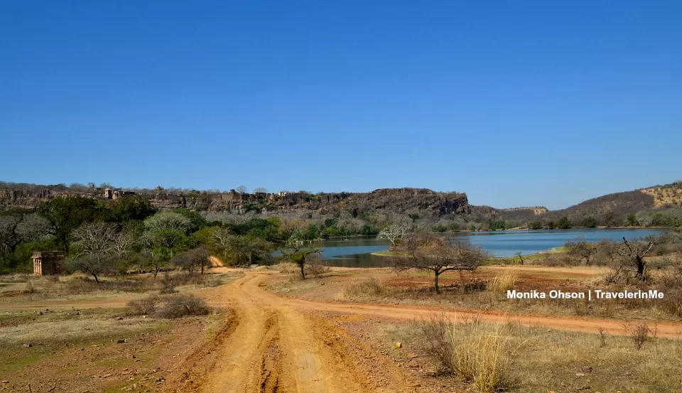 Photo of Looking for the ‘Bengal Tigers’ in Ranthambore National Park by TravelerInMe