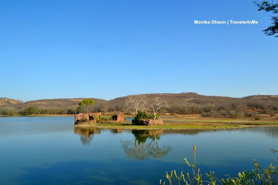 Photo of Looking for the ‘Bengal Tigers’ in Ranthambore National Park by TravelerInMe