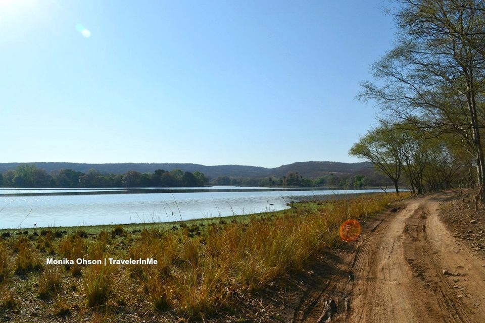 Photo of Looking for the ‘Bengal Tigers’ in Ranthambore National Park by TravelerInMe