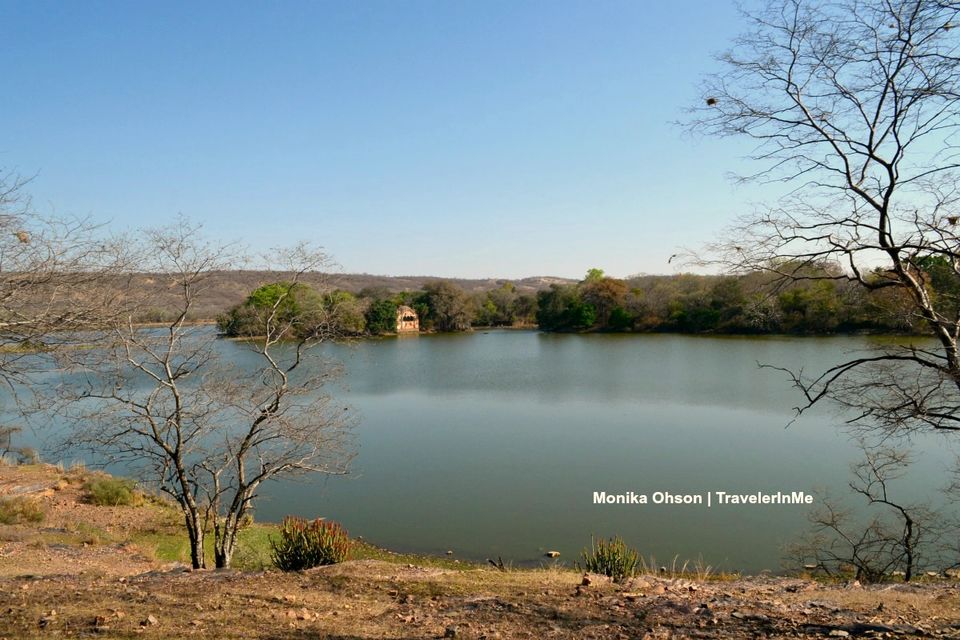 Photo of Looking for the ‘Bengal Tigers’ in Ranthambore National Park by TravelerInMe