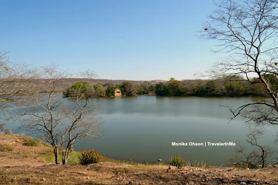Photo of Looking for the ‘Bengal Tigers’ in Ranthambore National Park by TravelerInMe