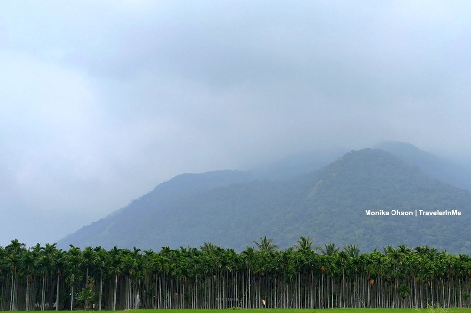 Photo of Adiyogi | The First Yogi | The Originator of Yoga by TravelerInMe