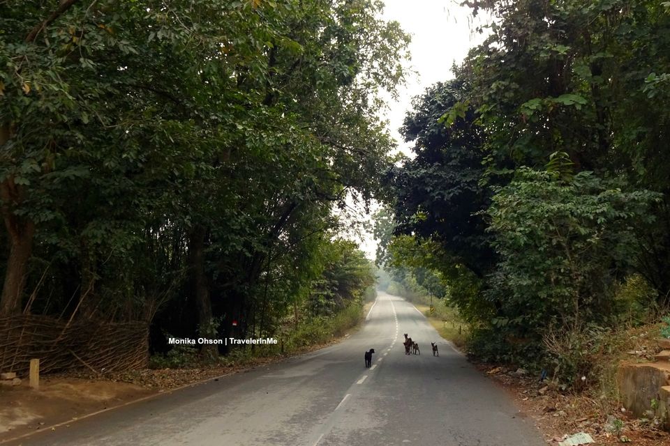 Photo of Driving through a countryside 3/21 by TravelerInMe