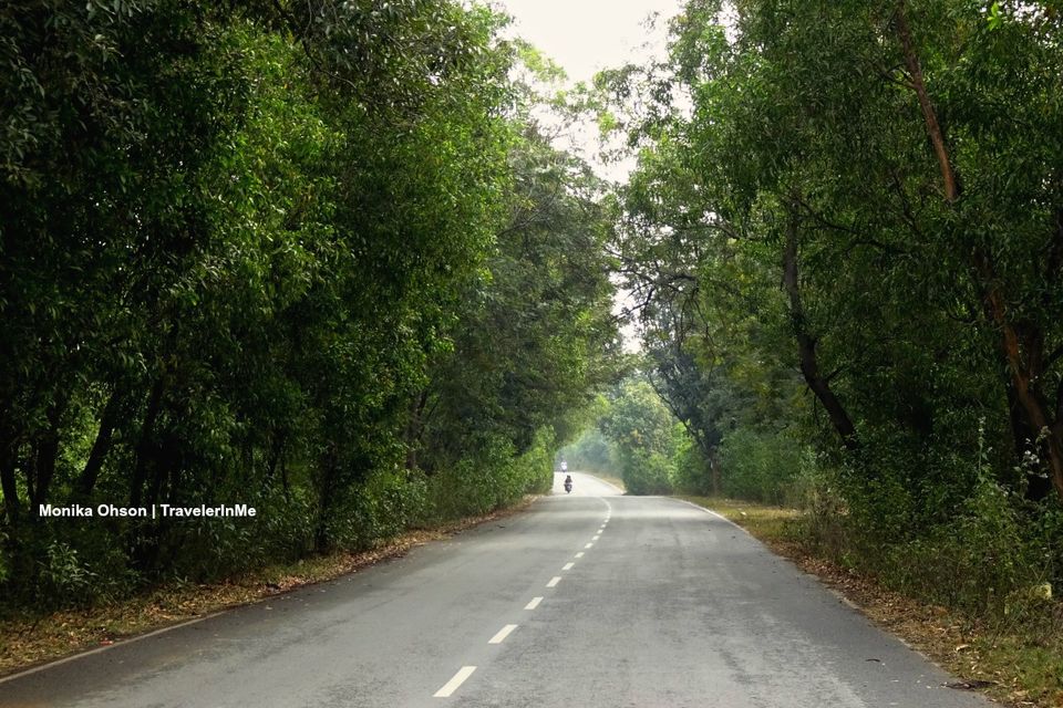 Photo of Driving through a countryside 21/21 by TravelerInMe