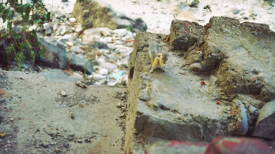 Photo of Adventure Ganga River, Rishikesh, Uttarakhand, India by Aashu_Wanderlust