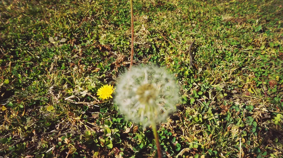 Photo of Adventure Ganga River, Rishikesh, Uttarakhand, India by Aashu_Wanderlust