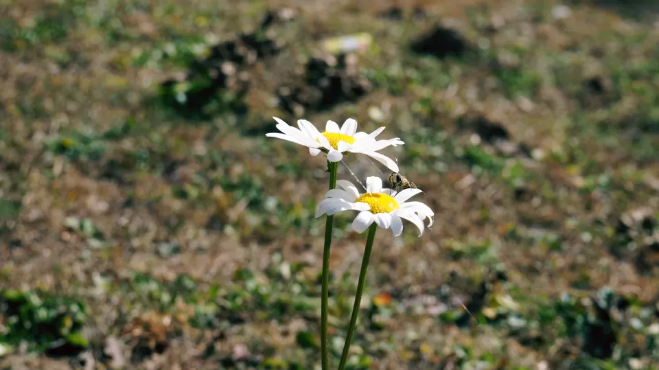 Photo of Adventure Ganga River, Rishikesh, Uttarakhand, India by Aashu_Wanderlust