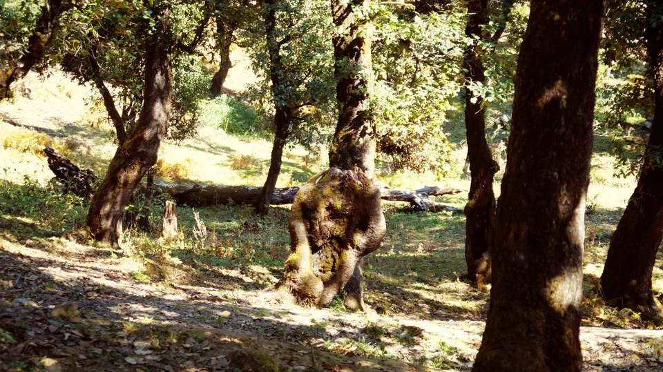 Photo of Adventure Ganga River, Rishikesh, Uttarakhand, India by Aashu_Wanderlust