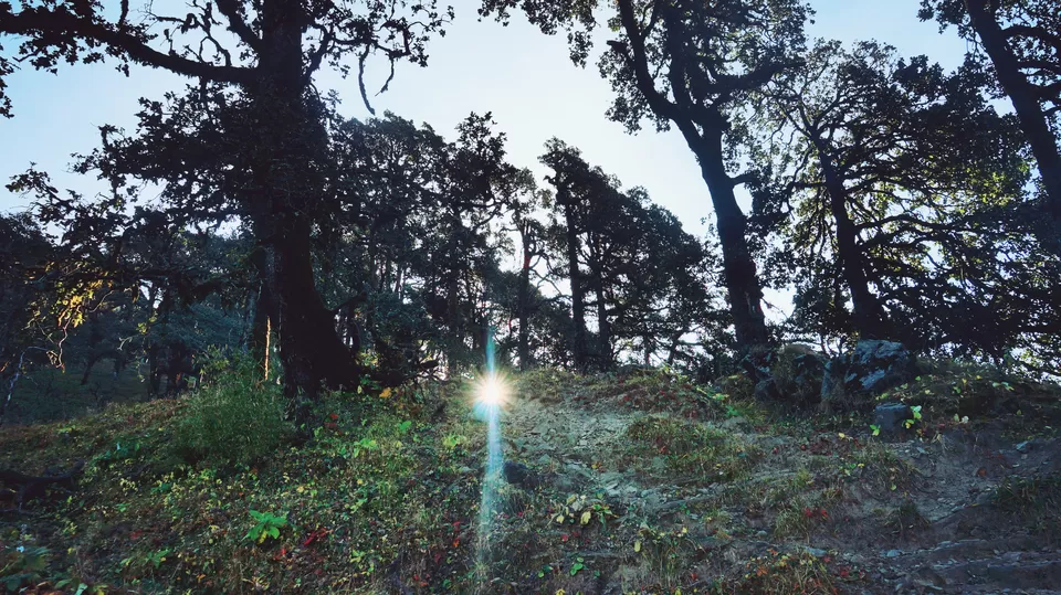 Photo of Adventure Ganga River, Rishikesh, Uttarakhand, India by Aashu_Wanderlust