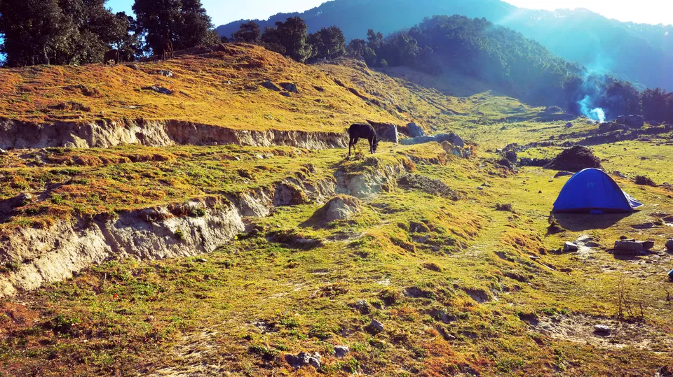 Photo of Adventure Ganga River, Rishikesh, Uttarakhand, India by Aashu_Wanderlust
