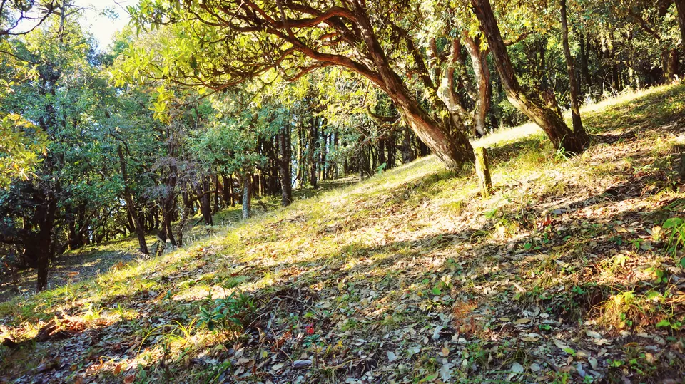 Photo of Adventure Ganga River, Rishikesh, Uttarakhand, India by Aashu_Wanderlust