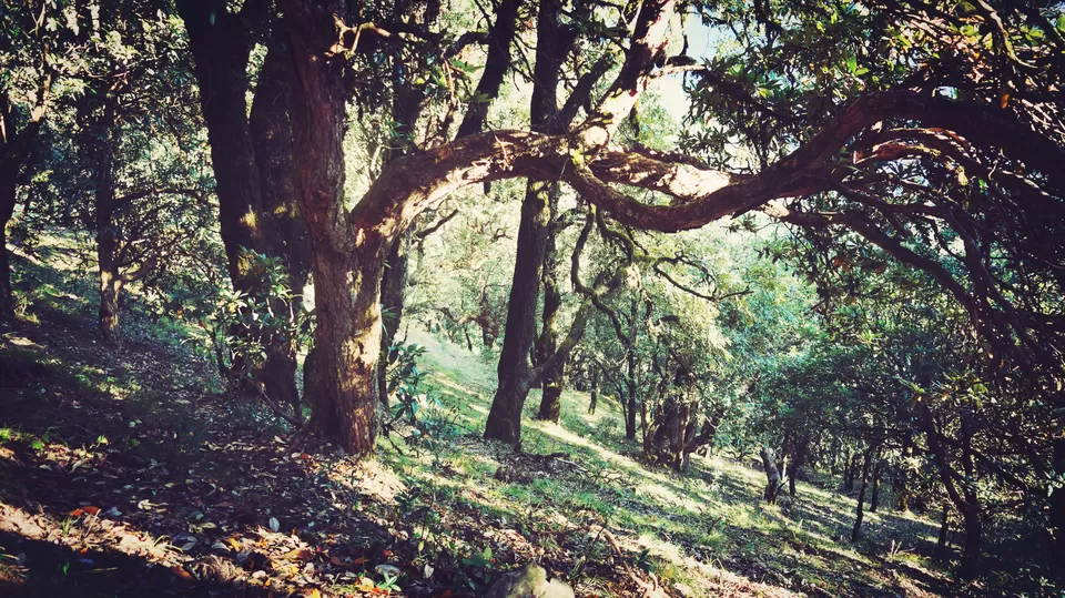 Photo of Adventure Ganga River, Rishikesh, Uttarakhand, India by Aashu_Wanderlust