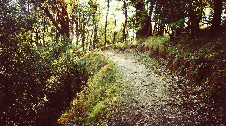 Photo of Adventure Ganga River, Rishikesh, Uttarakhand, India by Aashu_Wanderlust