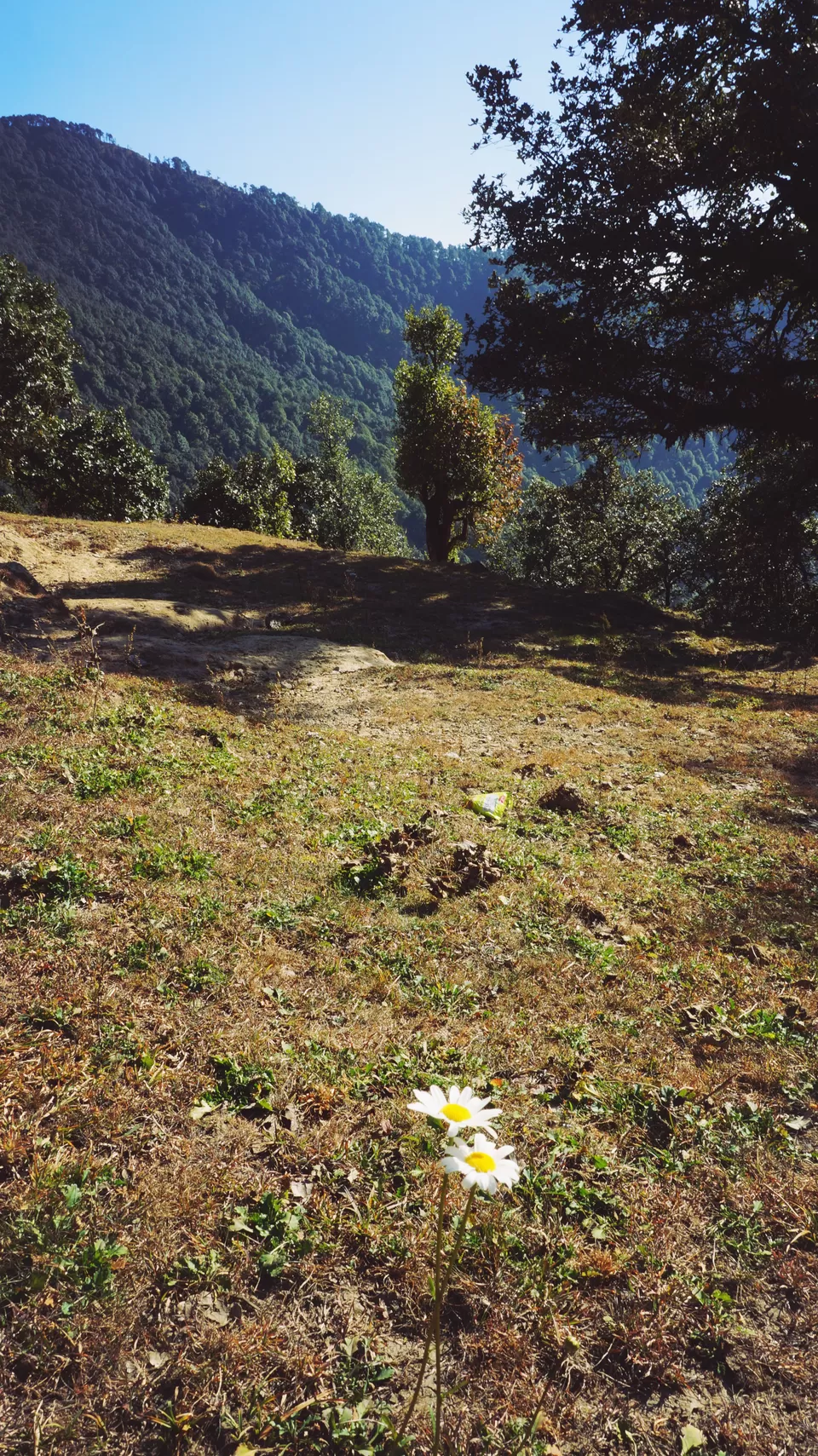 Photo of Adventure Ganga River, Rishikesh, Uttarakhand, India by Aashu_Wanderlust