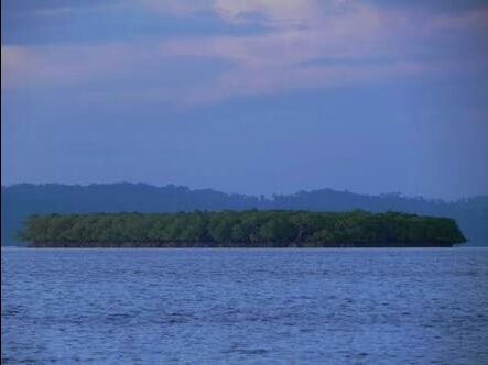 Photo of Andaman and Nicobar Islands, India by Amit Khajuria