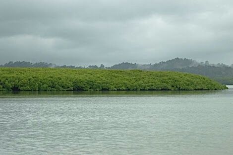 Photo of Andaman and Nicobar Islands, India by Amit Khajuria