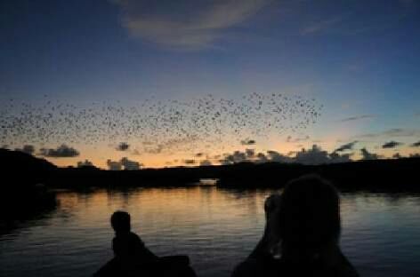 Photo of Andaman and Nicobar Islands, India by Amit Khajuria