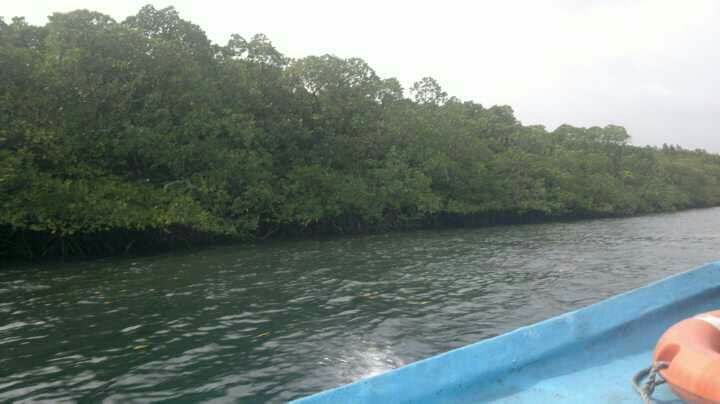 Photo of Andaman and Nicobar Islands, India by Amit Khajuria