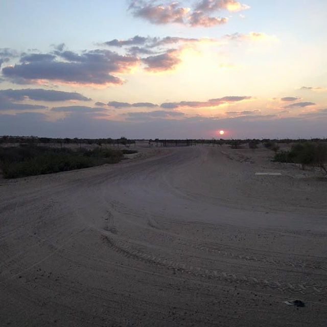 Photo of Sir bani island UAE...A perfect Wild life gateway 2/9 by Saurabh Nandwani