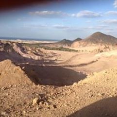 Photo of Sir bani island UAE...A perfect Wild life gateway 3/9 by Saurabh Nandwani