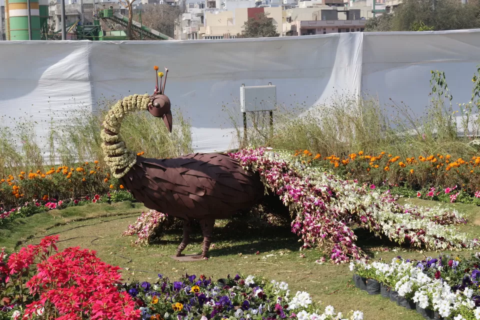 Photo of Sabarmati, Ahmedabad, Gujarat, India by Khushal Solanki