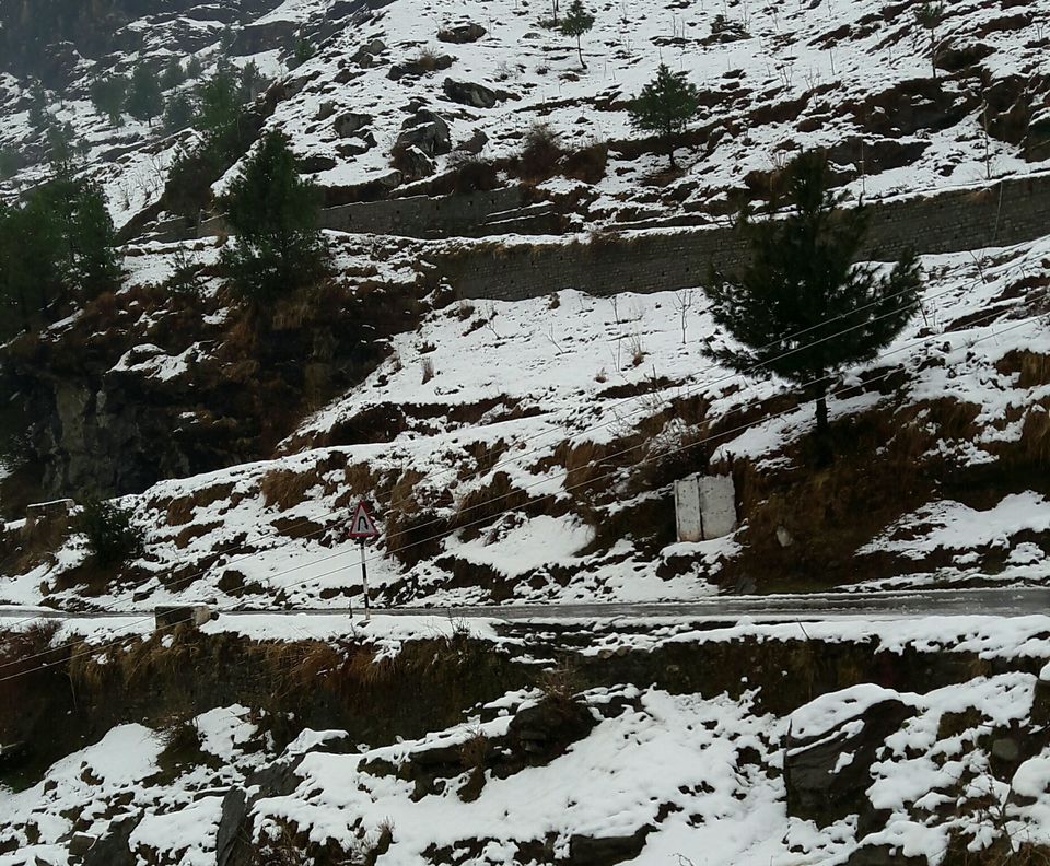 Photo of Solang, Himachal Pradesh, India by Fam