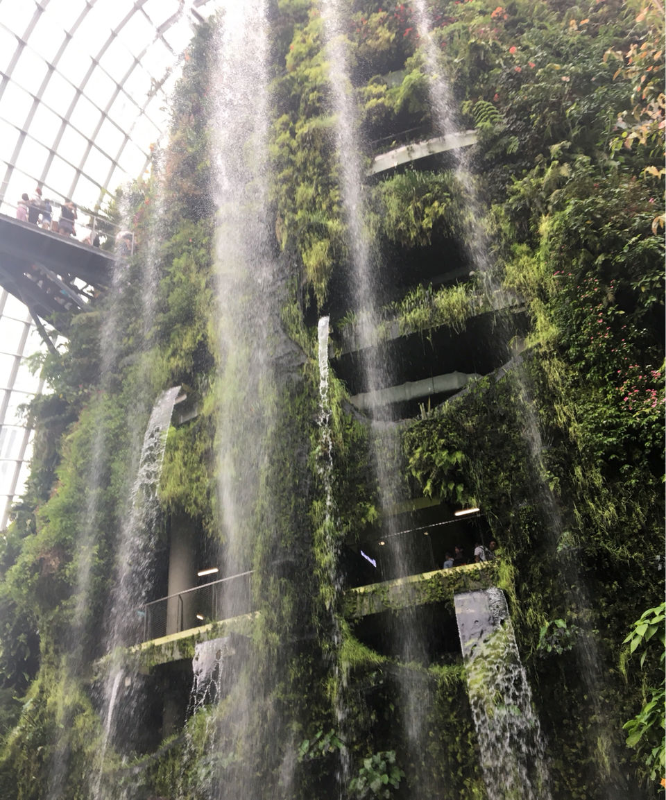Photo of 5 DAYS IN SINGAPORE by Shubhangi Jain