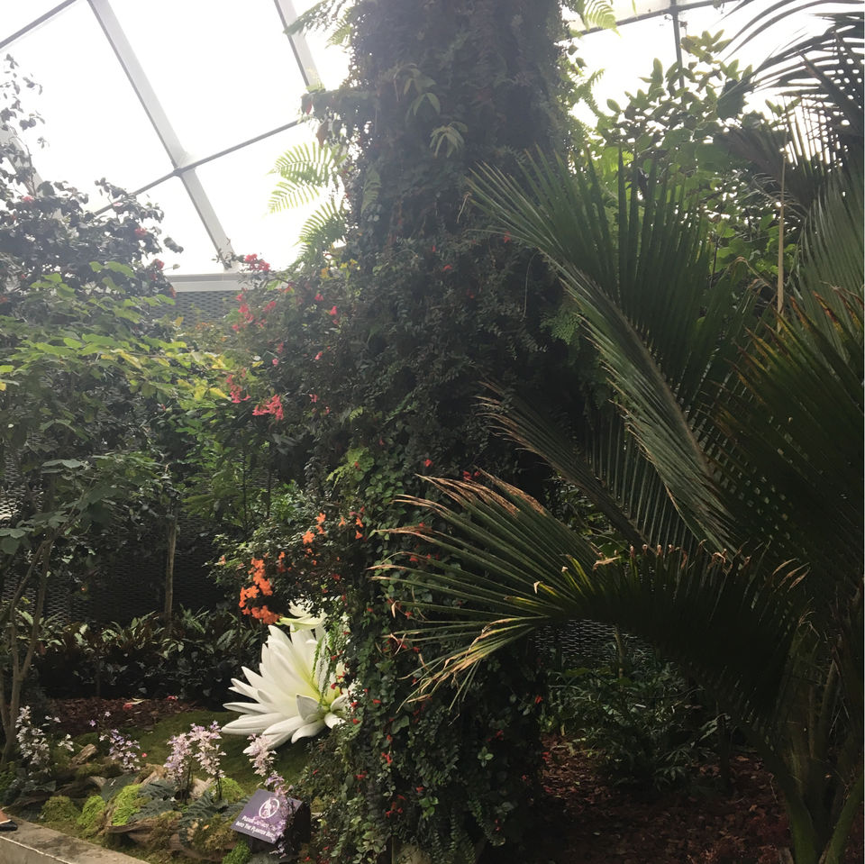 Photo of 5 DAYS IN SINGAPORE by Shubhangi Jain