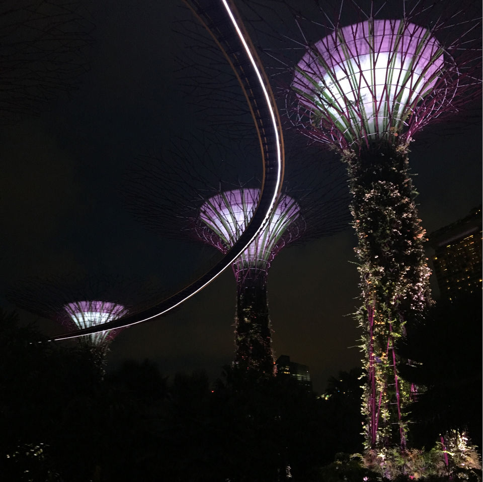 Photo of 5 DAYS IN SINGAPORE by Shubhangi Jain