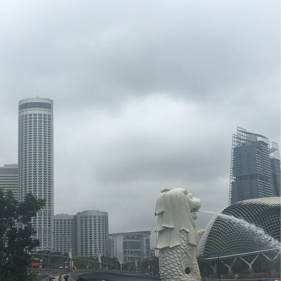 Photo of 5 DAYS IN SINGAPORE by Shubhangi Jain
