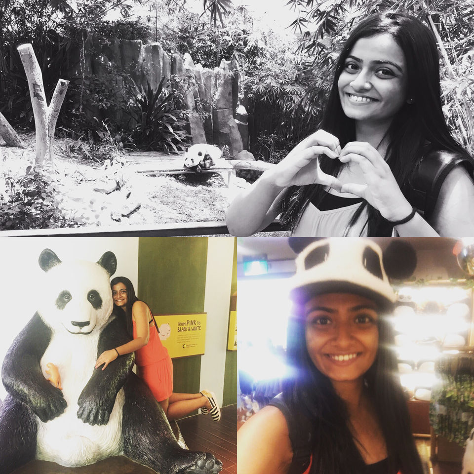 Photo of No Where To Go , But Everywhere To Be ! by Priyanka Jain