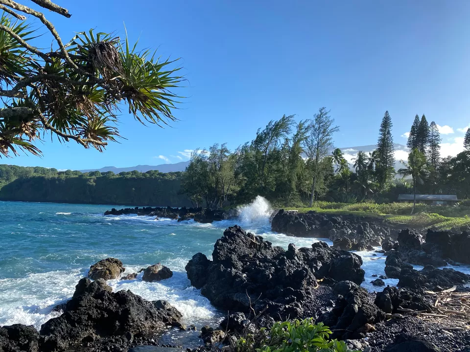 Photo of Road to Hāna, Haiku, HI, USA by Mr n Mrs Traveler