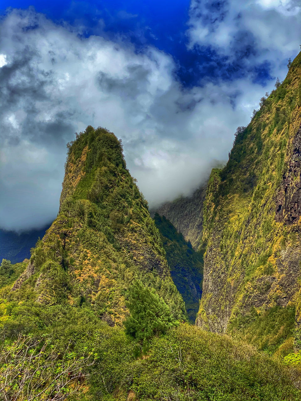 Photo of Iao Valley, Hawaii, USA by Mr n Mrs Traveler