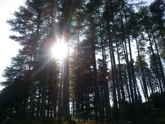 Photo of Mussoorie, Uttarakhand, India by Gayathri Iyer