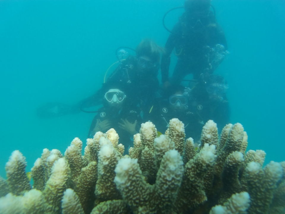 Photo of Havelock Island, South Andaman, Andaman and Nicobar Islands, India by Simmy Midukkan