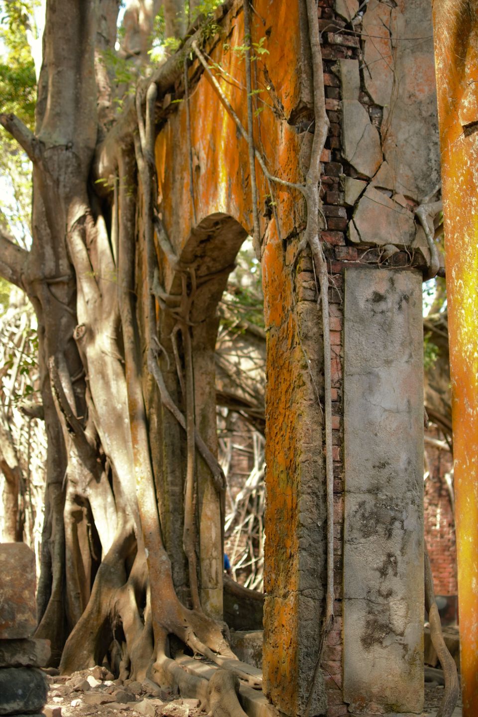Photo of Port Blair, Andaman and Nicobar Islands, India by Simmy Midukkan