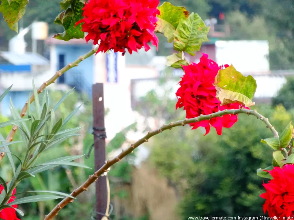 Photo of Tapovan, Tapovan, Rishikesh, Uttarakhand 249137, India by nitesh ranga