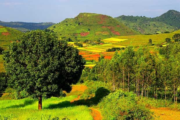 Photo of Take India's Most Scenic Train Ride To This Hidden Valley by Varun Suchday