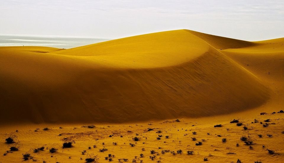 Photo of Did You Know About These Picture-Perfect Sand Dunes In Vietnam? Neither Did We by Varun Suchday