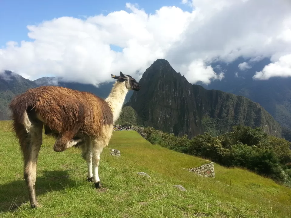 Photo of Machu Picchu, Peru by Varun Suchday