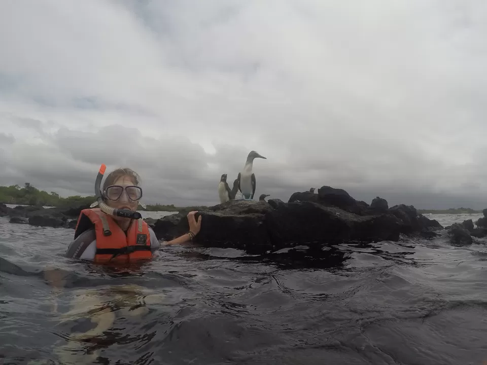 Photo of Ecuador by Varun Suchday