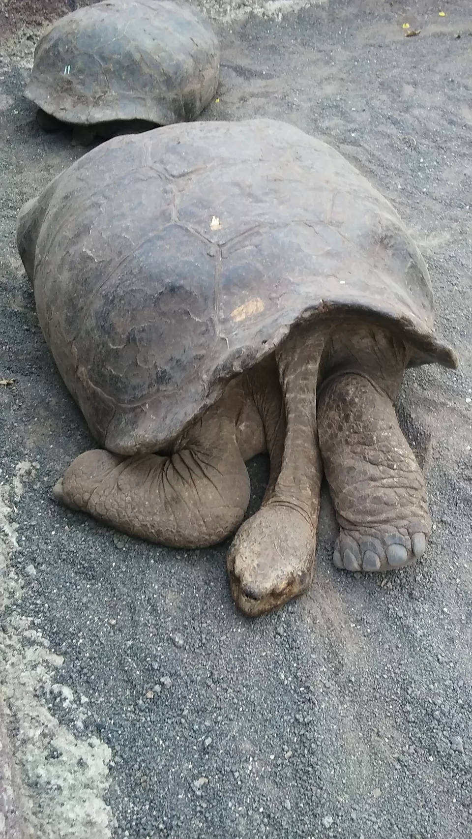 Photo of Puerto Ayora, Galápagos Islands, Ecuador by Varun Suchday