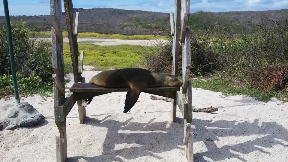 Photo of Playa Loberia, Ecuador by Varun Suchday