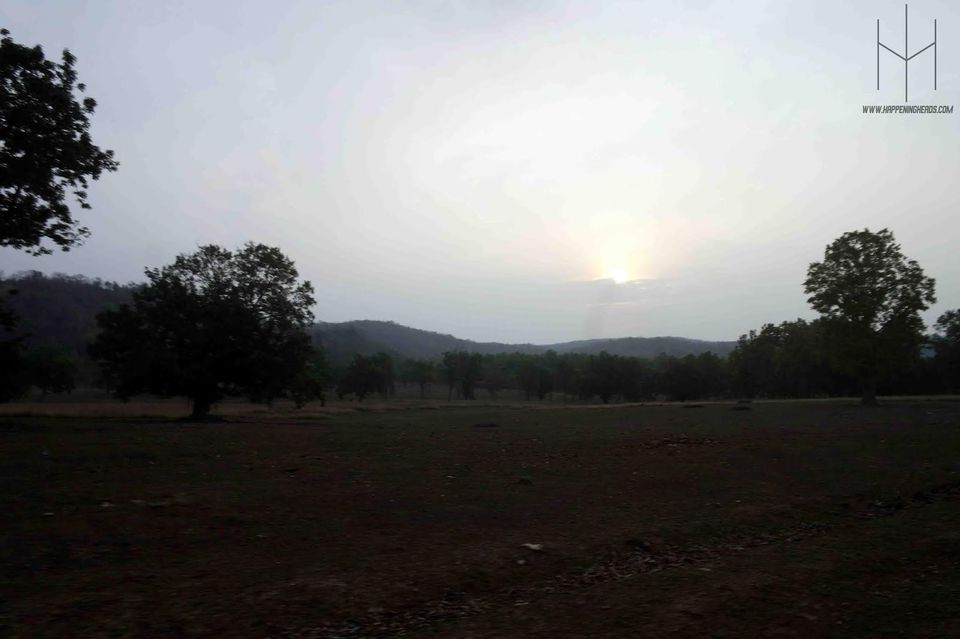 Photo of Kanha Tiger Reserve, Madhya Pradesh, India by Prathamesh Avachare