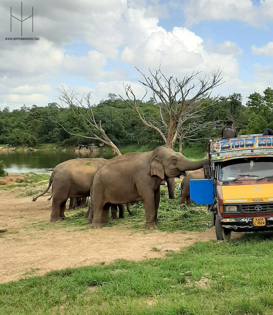 Photo of Bannerghatta National Park, Bannerghatta Road, Bannerughatta, Bengaluru, Karnataka, India by Prathamesh Avachare