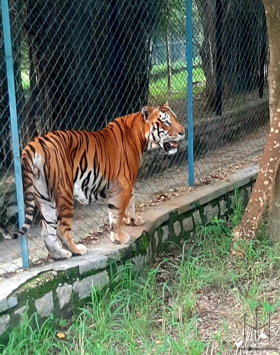 Photo of Bannerghatta National Park, Bannerghatta Road, Bannerughatta, Bengaluru, Karnataka, India by Prathamesh Avachare