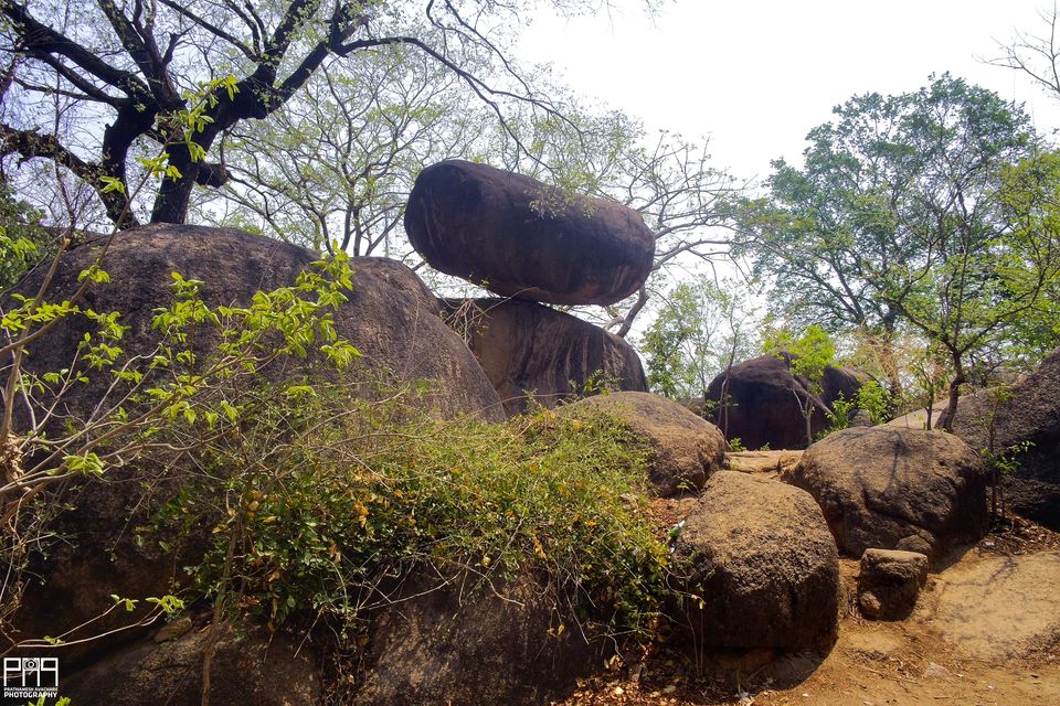 Photo of Bhedaghat Jabalpur: The Scenic Wonder 10/10 by Prathamesh Avachare