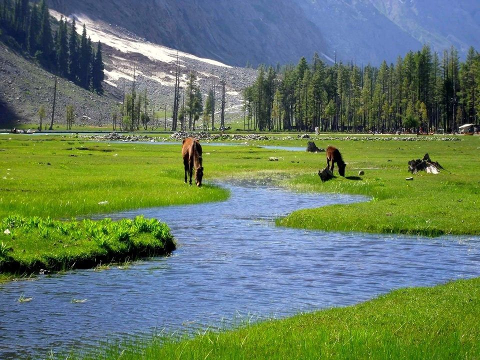 Photo of Great Places to Travel in Swat Valley 1/6 by Emma Miah